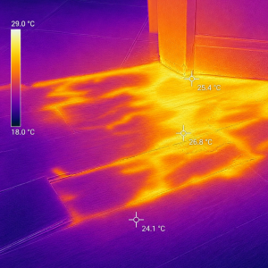 Thermography - Basic and Wet Building Materials