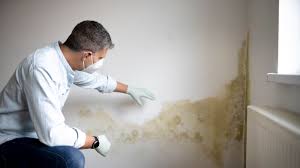 Residentail Mould Inspection