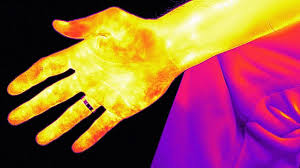 Thermal Image Fundamental - 6 Hours - Feb 6th 2026 - Image 5