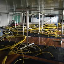 Wood Floor Drying – Techniques for the Building Restoration Drying - 9th December 2025